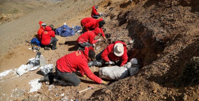 FOTO. Un dinozaur antic „cioc de rață” a fost descoperit în Chile după 72 de milioane de ani