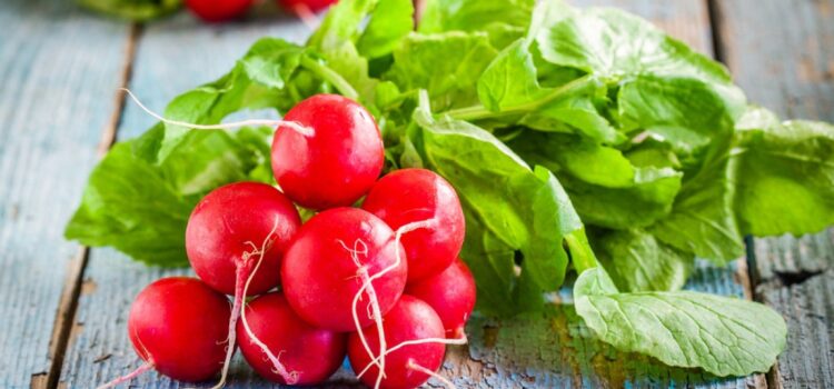 Cât de importante sunt ridichile roșii pentru sănătatea nutriției. Rețetă simplă de salată
