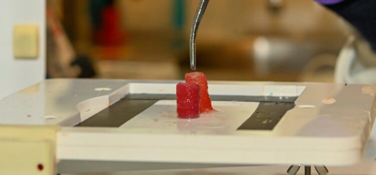 Inginerii de la ESA au creat vase de sânge prin bioprintare 3D