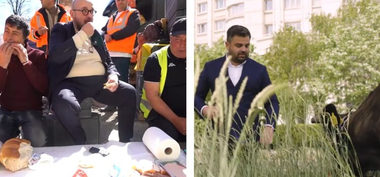 Extravaganțe de campanie: de la prânz pe șantier, la scos vaca la păscut în București