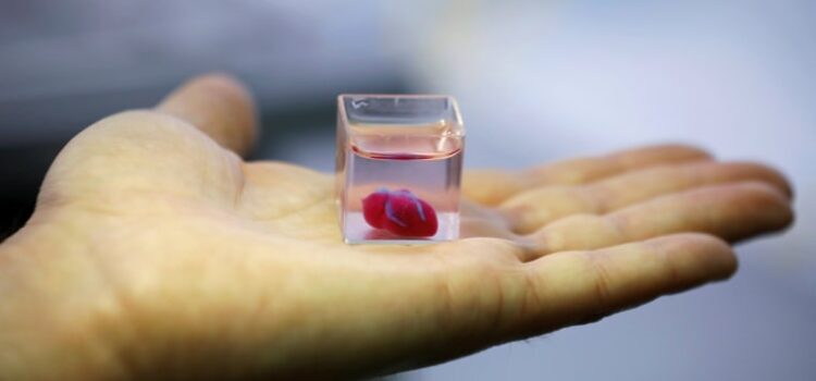 Cercetătorii obțin mini inimi umane folosind celule stem