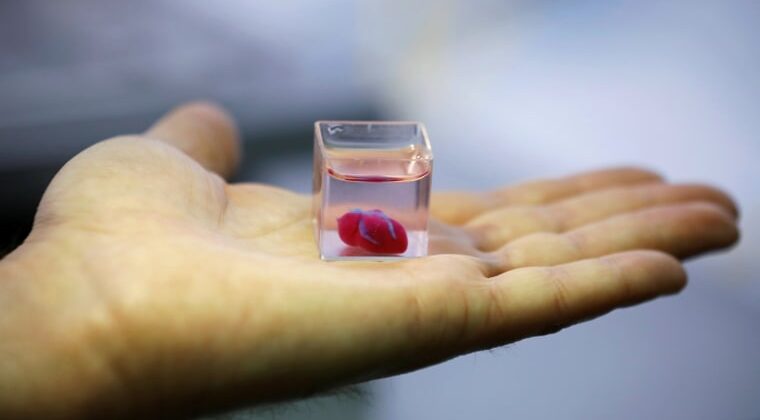 Cercetătorii obțin mini inimi umane folosind celule stem