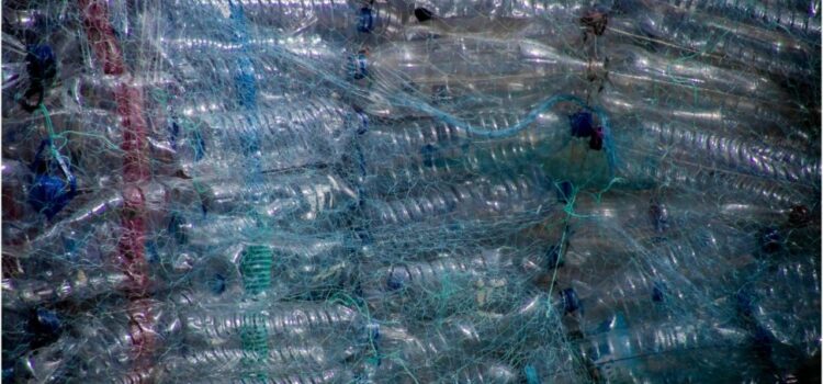 Cercetătorii au descoperit un plastic care se autodistruge