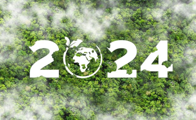 2024, cel mai curat an pentru producția de energie VERDE