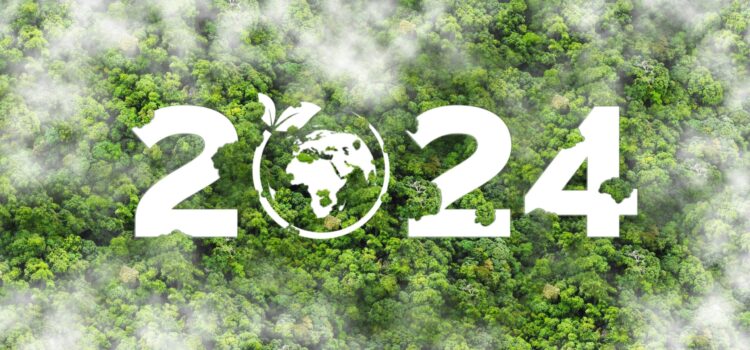 2024, cel mai curat an pentru producția de energie VERDE