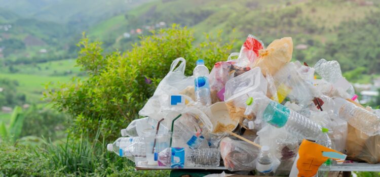 Jumătate din ambalajele alimentare din plastic ar putea fi eliminate. România s-a angajat să reducă poluarea până în 2050, potrivit GREEN Deal