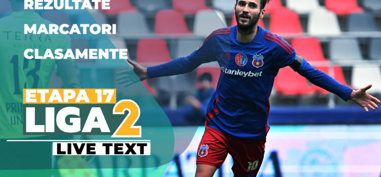 Meciuri etapa a 17-a a Ligii 2, sezon 2024-2025