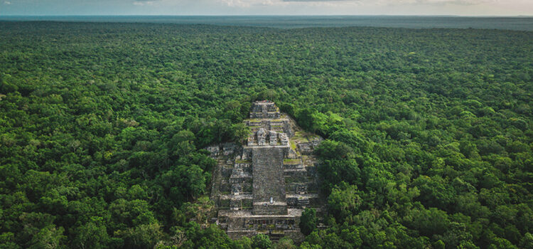 Descoperirile anului 2024