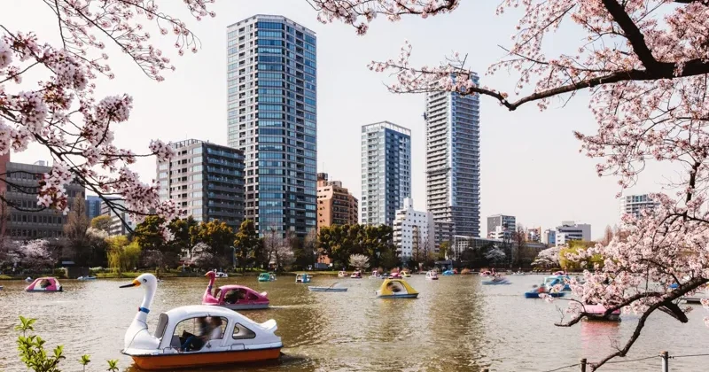Unde pleci în vacanță în 2025? Asia a dominat topul în 2024