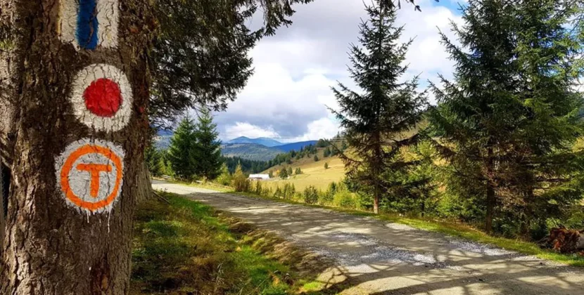 Cum e traseul care străbate România