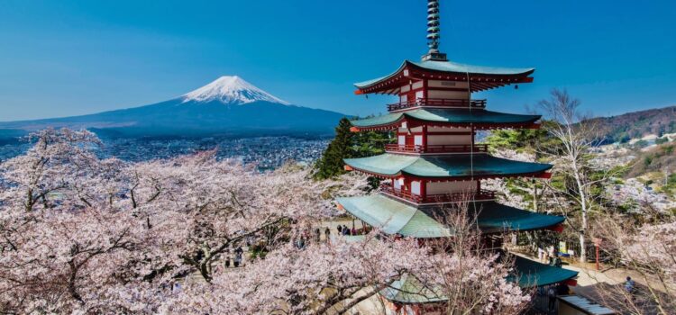 Începe sezonul florilor de cireș în Japonia: Descoperă Sakura