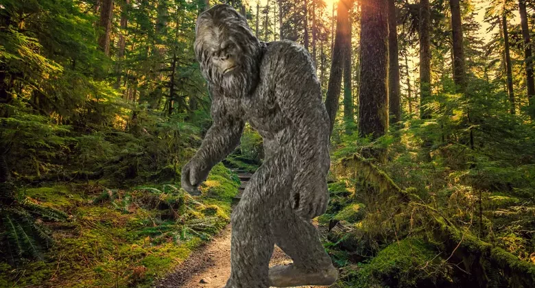 În California, există un muzeu cu descoperiri despre Bigfoot