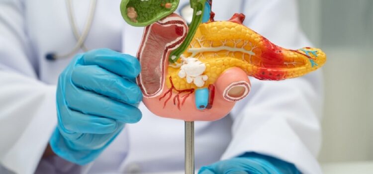 Ce este pancreasul și ce rol are în organism