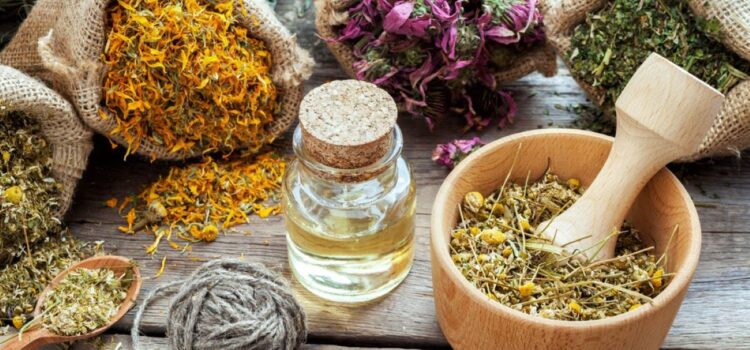 Calendarul culegerii plantelor medicinale