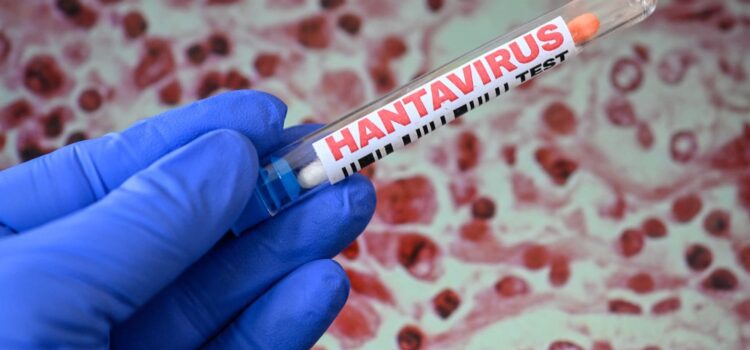 Tânărul din Arad confirmat cu hantavirus a fost externat. Medicii spun că și-a revenit complet