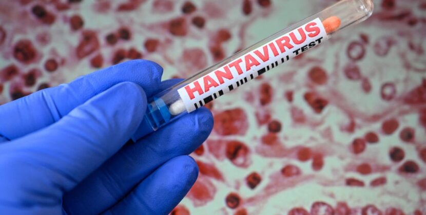 Tânărul din Arad confirmat cu hantavirus a fost externat. Medicii spun că și-a revenit complet