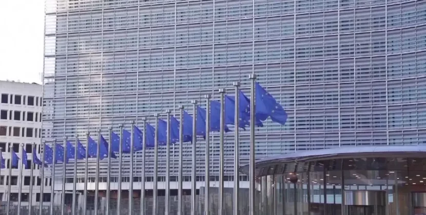 „România o resimte din plin, este țara europeană lovită cel mai mult. Noi nu ar fi trebuit să intrăm niciodată în recesiune”
