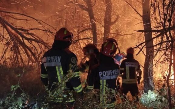 Europa se confruntă cu unul dintre cele mai violente episoade de incendii de vegetație din ultimele decenii. Peste 320.000 de oameni au fost evacuați din Franța și Spania. Pompierii români intervin în sudul Franței