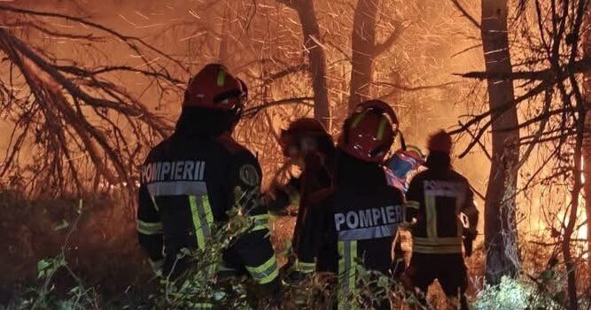 Europa se confruntă cu unul dintre cele mai violente episoade de incendii de vegetație din ultimele decenii. Peste 320.000 de oameni au fost evacuați din Franța și Spania. Pompierii români intervin în sudul Franței