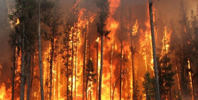 Tragedie în Spania: Cel puțin 12 oameni au murit și alte 23 sunt date dispărute în urma incendiilor de vegetație din Almería. Nicușor Dan, mesaj prompt de solidaritate: „Sunt profund întristat”