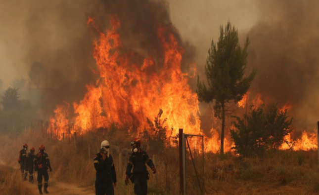 Două persoane au murit după ciocnirea a două elicoptere care participau la stingerea unui incendiu de vegetație în Grecia. DSU precizează că pompierii și aeronavele României nu sunt implicați în incident