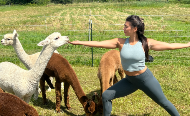 de la băi în bere până la yoga cu alpaca, pe care o poți încerca și în România – Aleph News