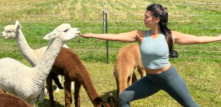 de la băi în bere până la yoga cu alpaca, pe care o poți încerca și în România – Aleph News