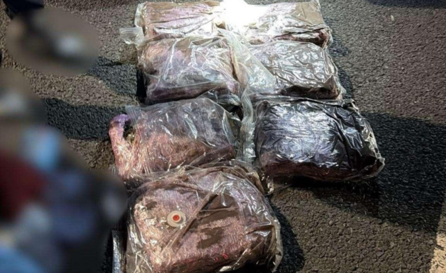 Captură de droguri la Vama Nădlac: un tânăr ascundea 7 kilograme de canabis într-o cursă internațională din Spania