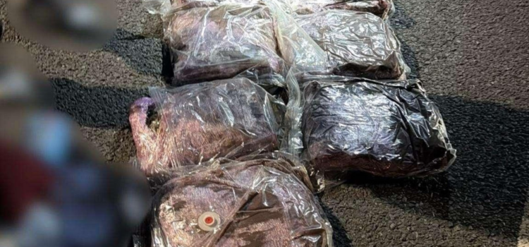 Captură de droguri la Vama Nădlac: un tânăr ascundea 7 kilograme de canabis într-o cursă internațională din Spania