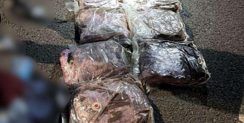 Captură de droguri la Vama Nădlac: un tânăr ascundea 7 kilograme de canabis într-o cursă internațională din Spania